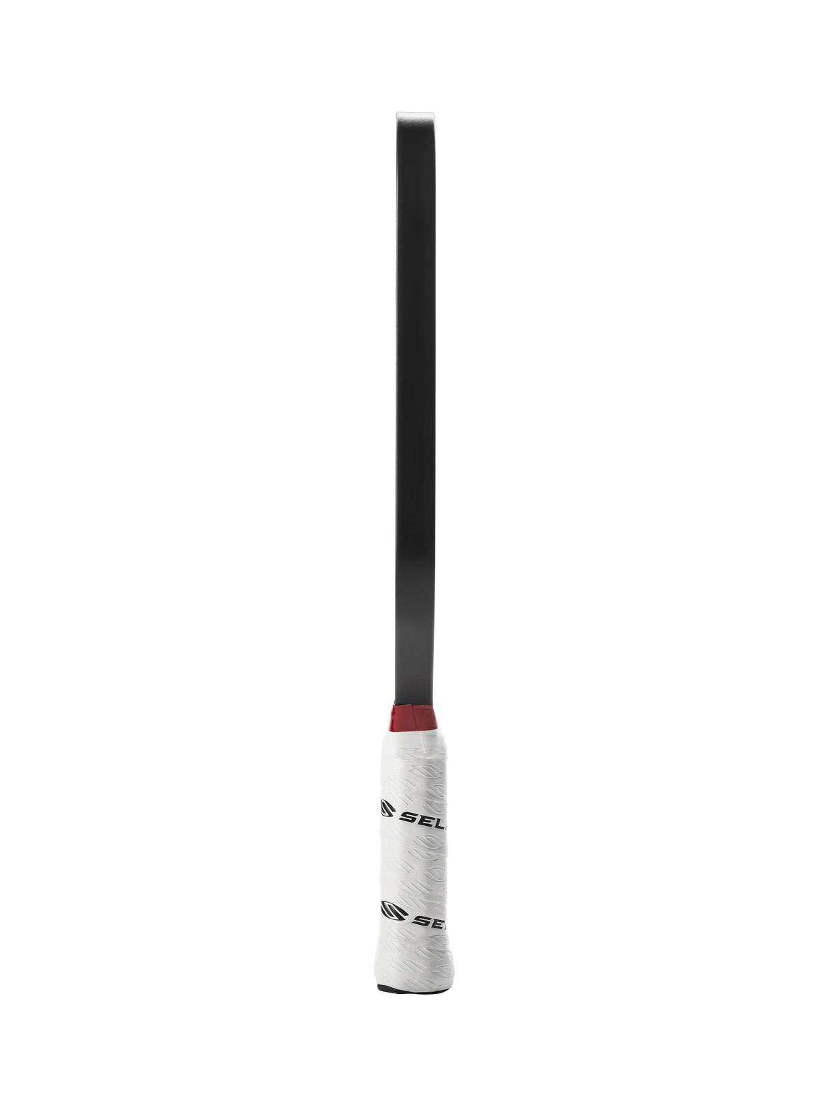 Selkirk LABS Project 008